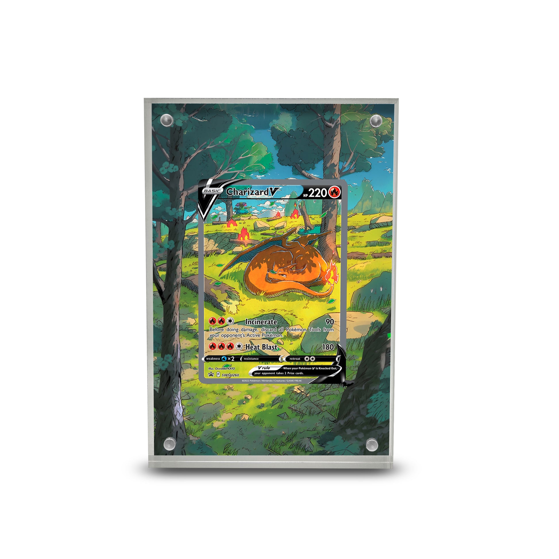 Charizard V - SWSH 260